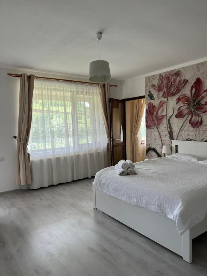 Casa Mardar Apartment Oradea Exterior photo